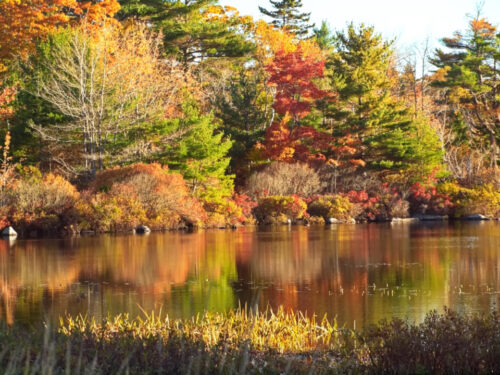 Fall foliage on Jackson Lake, Georgia, reflected in calm water near Bear Creek Marina